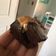 El cooksnap de Maite Soto cuando hizo Brownie de cacao sin azúcar.