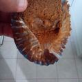 El cooksnap de GRINGA cuando hizo Torta esponja de café.