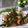 Cooksnap dari Nani Setiati untuk resep Ayam Pandan Thai