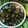 Rupa Pal's cooksnap of when they made নিম বেগুন ভাজা (neem begun bhaja recipe in Bengali).