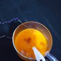 Srishti Singh 's cooksnap of when they made Mango Slushie.