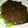 Cooksnap dari Fatma Wati Sufyan untuk resep Steamed Pak Coy with Garlic