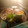 El cooksnap de Tuno Negro cuando hizo Timbal de calabacín relleno de verduras y pollo especiado.