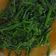 Cooksnap dari Yuli Anastasia untuk resep Tumis Sayur Pakis Terasi