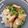 eiyoushi's cooksnap of when they made 麺つゆと砂糖の味付け　カツ丼.
