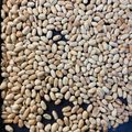 Cooksnap dari Putri Thailand untuk resep 106. Kacang Tanah Oven