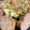El cooksnap de Manuel cuando hizo Ensalada de aguacate, mango, salmón, frutos secos y queso fresco.