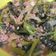 Cooksnap dari Fourida untuk resep Tumis Daun Gingseng Saus Tiram