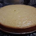 El cooksnap de romina cuando hizo Torta de Naranja 🍊.