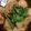 รูป Cooksnap ของ supatchaya เมื่อเขาทำ พะโล้ขาหมูและสามชั้นไข่พะโล้