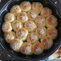 صورة من ام ساره العراقيه، شاركها بعد تجربة وصفة خليه النحل