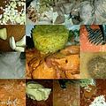 Sigrun's cooksnap of when they made Sig's Friend Butter Chicken from Delhi.