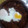 El cooksnap de Roberto cuando hizo Huevos con chichos.