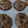 Cooksnap dari Willyandra Aan untuk resep Chewy chocochip cookies