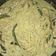 El cooksnap de Mary Esperanza Morales cuando hizo Pollo a la crema verde.