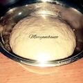 کوک اسنپ Maryam بعد از امتحان کردن خمیر همه کاره و فوری (ده دقیقه ای).