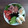 El cooksnap de Maine Santillán cuando hizo Ensalada de lechuga, jamón, huevo, aguacate y tomate.