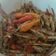 Cooksnap dari Murnie untuk resep Tempak ikan teri