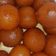 Jain Ridhi का कुकस्नैप जब उन्होंने गुलाबजामुन (Gulabjamun recipe in hindi) बनाया था।