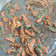 El cooksnap de Cynthia Duarte Luengo cuando hizo Carne Mongoliana.