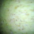 sarajones's cooksnap of when they made corn casserole.