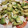 El cooksnap de Cristina cuando hizo Tomate con mozzarella y aguacate ideal para una cena.