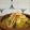 El cooksnap de Cocina marroqui y arabe con Karima cuando hizo Tajín de pollo con aceitunas.