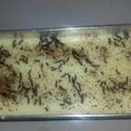 Cooksnap dari Rembitanku untuk resep Turkish Milk Pudding (Tavuk Goksu) / Puding Susu Turki