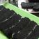 Cooksnap dari Erni Puspaningrum untuk resep Brownies ketan hitam