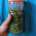 El cooksnap de Patry Isla cuando hizo Chimichurri argentino.
