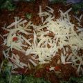 El cooksnap de isa toya cuando hizo Malfatti de espinaca y ricota con salsa bolognesa!.