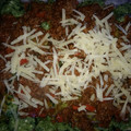 El cooksnap de isa toya cuando hizo Malfatti de espinaca y ricota con salsa bolognesa!.