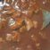 El cooksnap de Lucero Torres cuando hizo Carne de res con chile colorado.