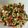 Ruchita Saxena's cooksnap of when they made Paneer Stir Fry.
