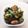 Coちむ's cooksnap of when they made 甘とうがらしとマイタケの炒め煮.