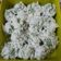Cooksnap dari Wiwin Tedjaningrum untuk resep (131) Klepon (Empuk)