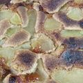 Cooksnap από Cleopatra στη συνταγή Μηλόπιτα 🍏🍏 απλά υπέροχη