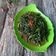 Cooksnap dari LinaKuw untuk resep Kangkung Belacan