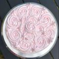 El cooksnap de lucía cuando hizo Merengue suizo.