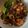 Cooksnap dari Duwipratiwi untuk resep Sambal Cumi Pedas Tahan Lama