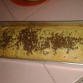 Cooksnap dari Lusi untuk resep Banana cake ekonomis