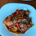 Cooksnap Sesimple Loralin semasa beliau membuat Ayam Kam Heong.