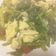 賴小孟 的 菠菜炒雞蛋 cooksnap