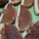 Cooksnap dari iqasmareta untuk resep Kue pukis