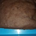 Cooksnap dari aryanti untuk resep Brownies kukus ny.liem
