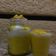 Cooksnap dari Desi Ariska untuk resep Manggo thai (jus mangga kekinian vla santan)
