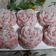 Cooksnap dari Lionie Adi untuk resep Kue cantik manis/jentik manis/cente manis
