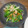 GMAN 的 👩🏻‍🍳薑絲炒小白菜-家常便當菜 cooksnap
