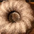 El cooksnap de Macarena cuando hizo Torta Integral de Banana y Yogurt ♥️.