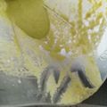 El cooksnap de Aleyda Diaz cuando hizo Apetitosa vinagreta rica y muy fácil de hacer.